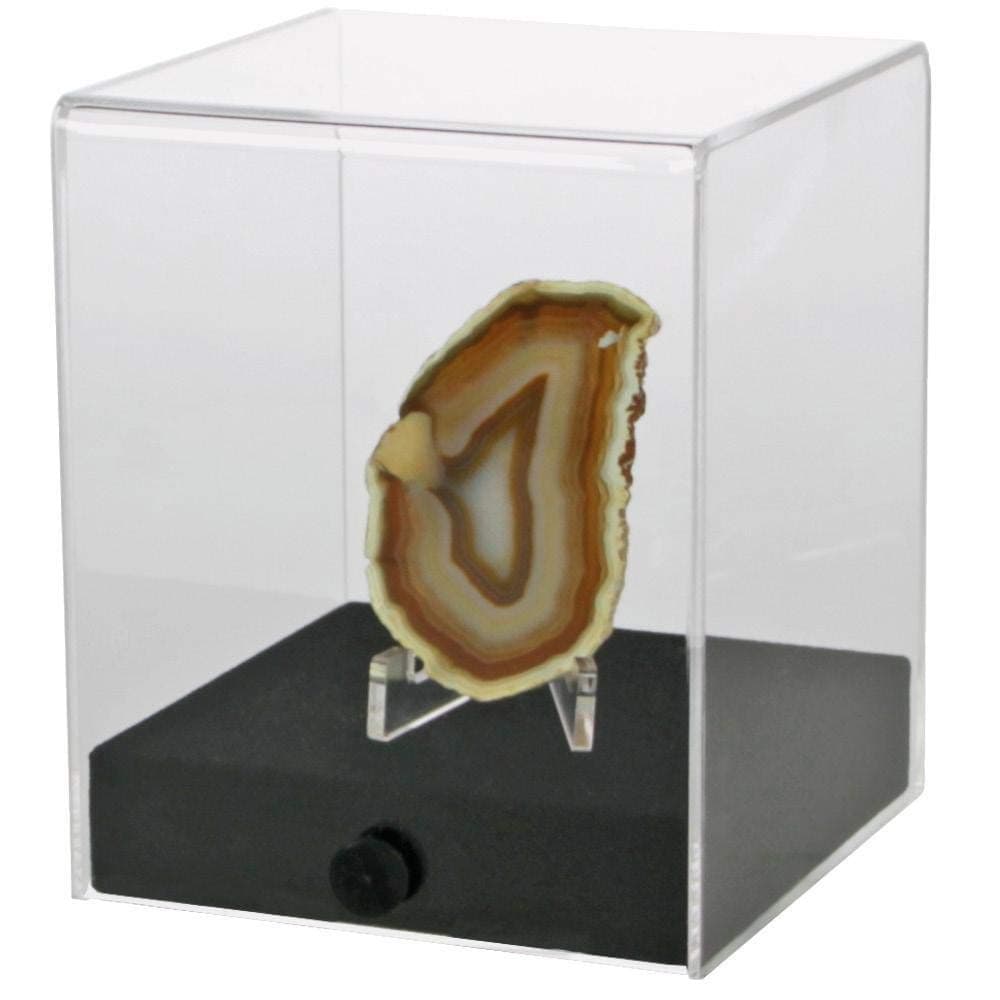 Safe 5287 Präsentations-Cube – Acryl-Vitrine mit schwarzem Velours-Holzsockel, staubgeschützt,… product image