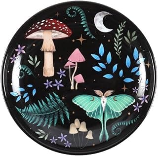 Something Different Wholesale Nocturnal Landscape Trinket Dish: Beautiful Flora and Fauna… product image