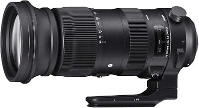 60-600mm F4.5-6.3 DG OS HSM | S Canon Fit, 730954 Black product image