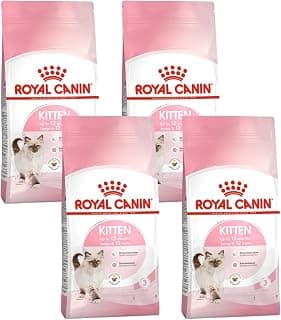 Kitten Dry Food 400g (Pack of 4) | Royal Canin Complete feed for up to 12 months, with DHA as… product image