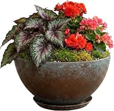 Classic Home and Garden 3/807G/1 Vogue Planter Rosie Bowl, 10" Rosie Weathered Copper product image